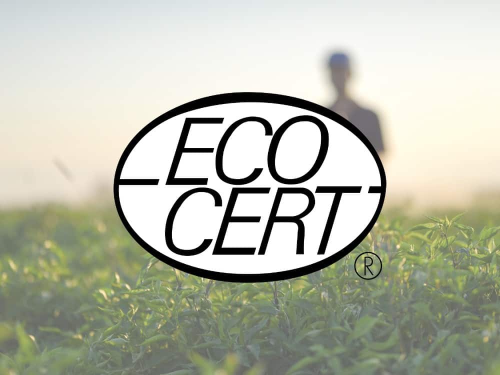Luxe handgemaakte zeep, Natuurlijke ingrediënten, Biologische huidverzorging, Geurvrije zeep, Hydraterende formule, Duurzame verpakking, Gecertificeerde biologische zeep, Veganistische zeep, Handgemaakte luxe zeep, Zeep voor gevoelige huid, Zeep zonder parabenen, Zeep zonder sulfaten, Zeep zonder synthetische geurstoffen, Zeep met natuurlijke oliën, Zeep met essentiële oliën, Zeep met sheaboter, Zeep met cacaoboter, Zeep met aloë vera, Zeep met honing, Zeep met havermout, Zeep met actieve kool, Haellah